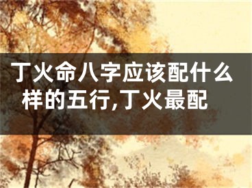 丁火命八字应该配什么样的五行,丁火最配