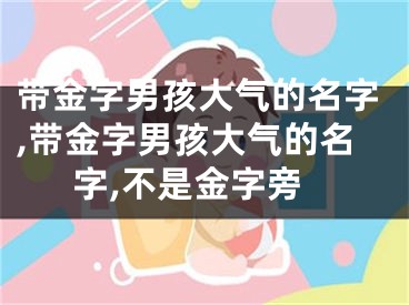 带金字男孩大气的名字,带金字男孩大气的名字,不是金字旁