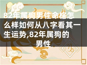 82年属狗男性命格怎么样如何从八字看其一生运势,82年属狗的男性