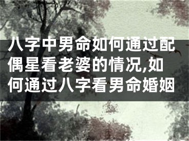 八字中男命如何通过配偶星看老婆的情况,如何通过八字看男命婚姻