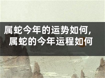 属蛇今年的运势如何,属蛇的今年运程如何