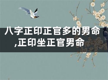 八字正印正官多的男命,正印坐正官男命