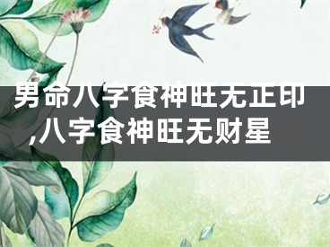 男命八字食神旺无正印,八字食神旺无财星