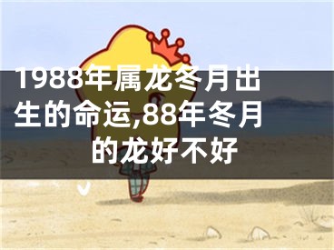 1988年属龙冬月出生的命运,88年冬月的龙好不好