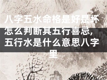 八字五水命格是好是坏怎么判断其五行喜忌,五行水是什么意思八字里