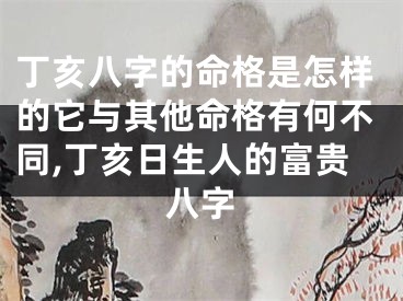 丁亥八字的命格是怎样的它与其他命格有何不同,丁亥日生人的富贵八字