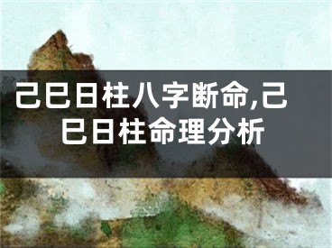 己巳日柱八字断命,己巳日柱命理分析