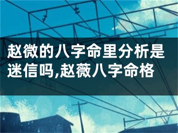 赵微的八字命里分析是迷信吗,赵薇八字命格