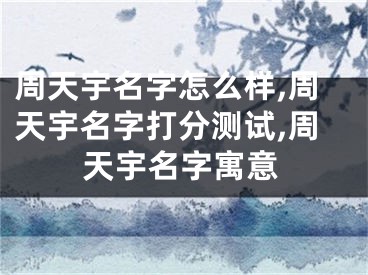 周天宇名字怎么样,周天宇名字打分测试,周天宇名字寓意