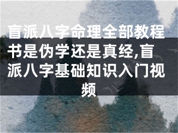 盲派八字命理全部教程书是伪学还是真经,盲派八字基础知识入门视频