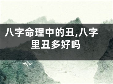 八字命理中的丑,八字里丑多好吗