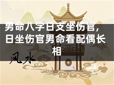 男命八字日支坐伤官,日坐伤官男命看配偶长相