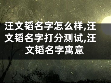 汪文韬名字怎么样,汪文韬名字打分测试,汪文韬名字寓意