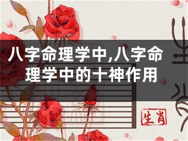 八字命理学中,八字命理学中的十神作用