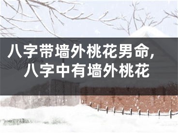 八字带墙外桃花男命,八字中有墙外桃花