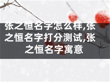 张之恒名字怎么样,张之恒名字打分测试,张之恒名字寓意