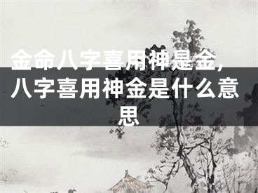 金命八字喜用神是金,八字喜用神金是什么意思