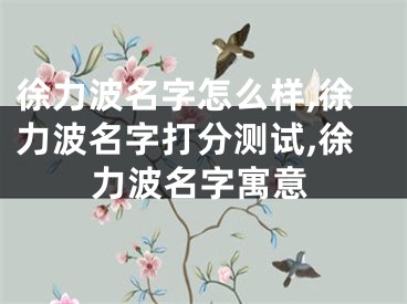 徐力波名字怎么样,徐力波名字打分测试,徐力波名字寓意