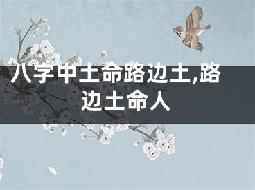 八字中土命路边土,路边土命人