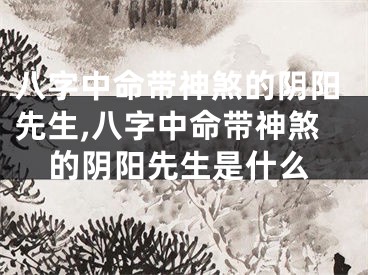 八字中命带神煞的阴阳先生,八字中命带神煞的阴阳先生是什么