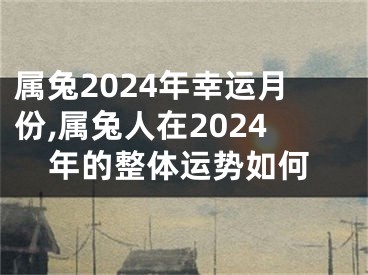 属兔2024年幸运月份,属兔人在2024年的整体运势如何