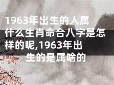 1963年出生的人属什么生肖命合八字是怎样的呢,1963年出生的是属啥的