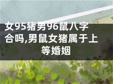 女95猪男96鼠八字合吗,男鼠女猪属于上等婚姻