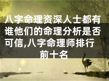 八字命理资深人士都有谁他们的命理分析是否可信,八字命理师排行前十名