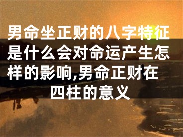 男命坐正财的八字特征是什么会对命运产生怎样的影响,男命正财在四柱的意义