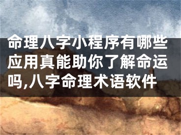 命理八字小程序有哪些应用真能助你了解命运吗,八字命理术语软件