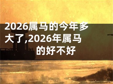 2026属马的今年多大了,2026年属马的好不好