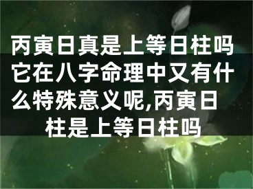 丙寅日真是上等日柱吗它在八字命理中又有什么特殊意义呢,丙寅日柱是上等日柱吗