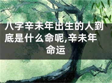 八字辛未年出生的人到底是什么命呢,辛未年命运