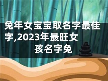 兔年女宝宝取名字最佳字,2023年最旺女孩名字兔