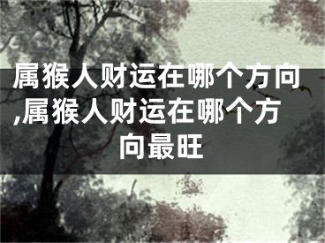 属猴人财运在哪个方向,属猴人财运在哪个方向最旺