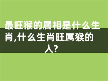最旺猴的属相是什么生肖,什么生肖旺属猴的人?