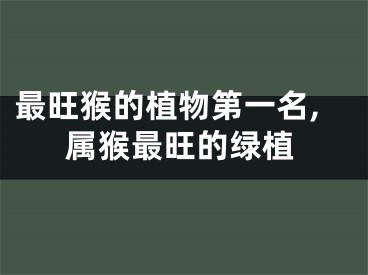 最旺猴的植物第一名,属猴最旺的绿植