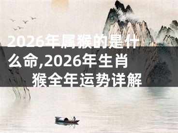 2026年属猴的是什么命,2026年生肖猴全年运势详解