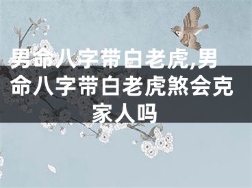 男命八字带白老虎,男命八字带白老虎煞会克家人吗