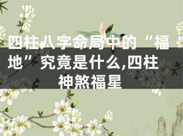 四柱八字命局中的“福地”究竟是什么,四柱神煞福星
