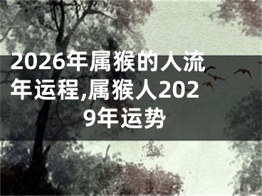 2026年属猴的人流年运程,属猴人2029年运势