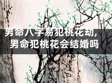 男命八字易犯桃花劫,男命犯桃花会结婚吗