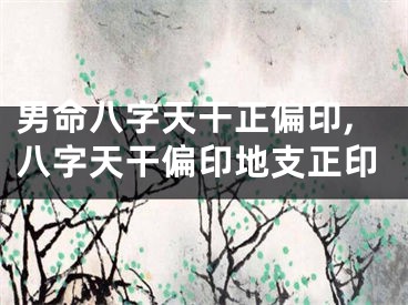 男命八字天干正偏印,八字天干偏印地支正印