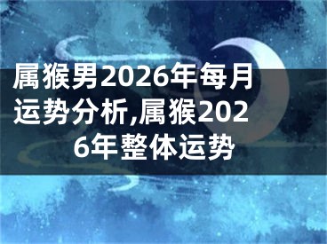 属猴男2026年每月运势分析,属猴2026年整体运势