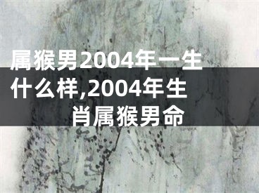 属猴男2004年一生什么样,2004年生肖属猴男命
