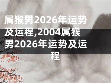 属猴男2026年运势及运程,2004属猴男2026年运势及运程