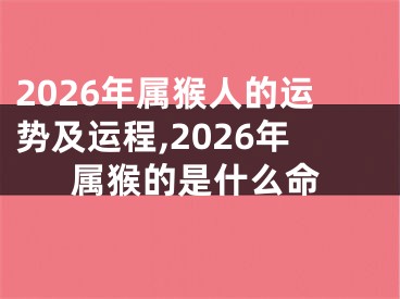 2026年属猴人的运势及运程,2026年属猴的是什么命