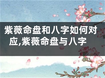 紫薇命盘和八字如何对应,紫薇命盘与八字