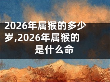2026年属猴的多少岁,2026年属猴的是什么命