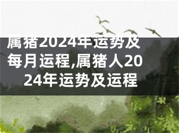 属猪2024年运势及每月运程,属猪人2024年运势及运程